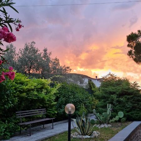 San Casciano Bed and Breakfast Narni Buitenkant foto